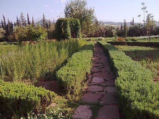 Jardin Bio Aromatique Nectarome